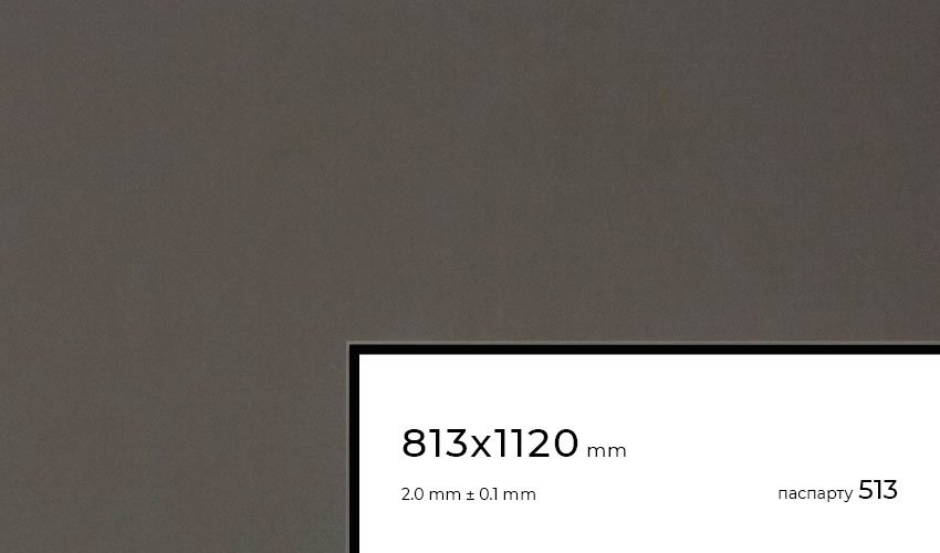 Паспарту 513